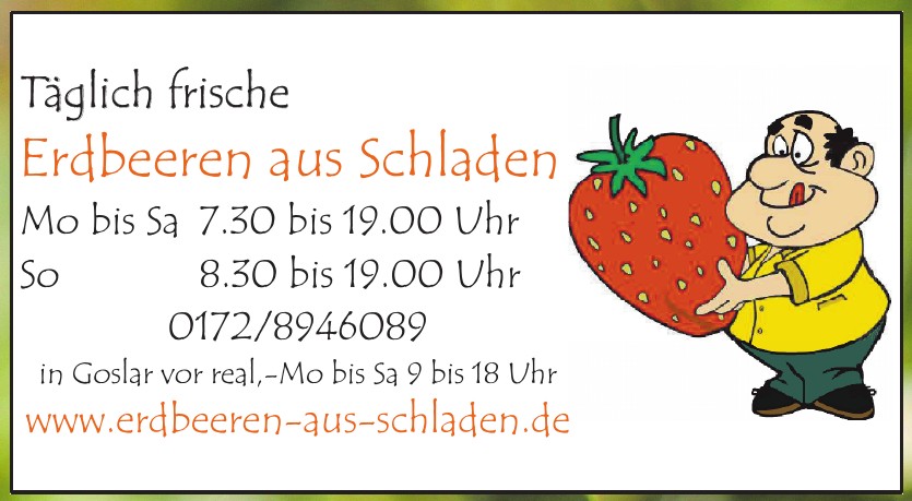 Erdbeeren aus Schladen