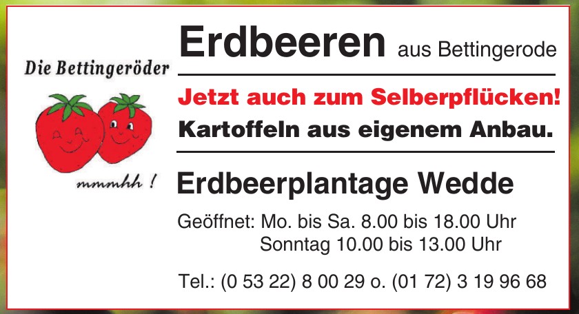 Erdbeerplantage Wedde